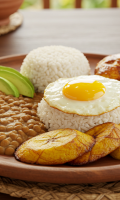 Gastronomia2